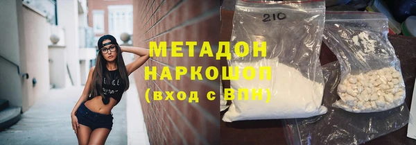 прущие грибы Дмитров