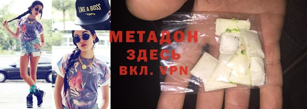 прущие грибы Дмитров