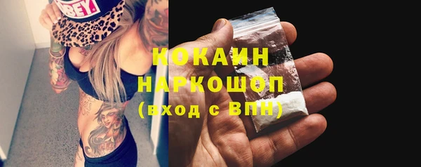 прущие грибы Дмитров
