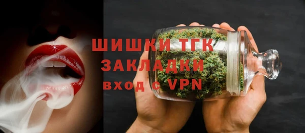 прущие грибы Дмитров
