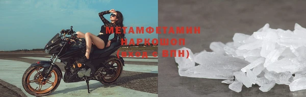 прущие грибы Дмитров