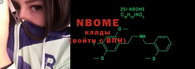 прущие грибы Дмитров