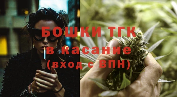 прущие грибы Дмитров