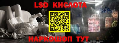 прущий лед Новозыбков