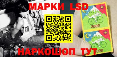 винт Новодвинск