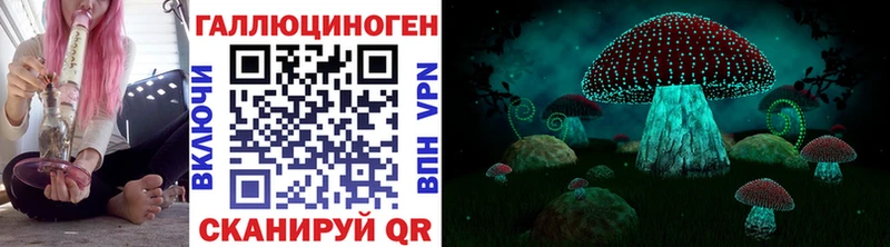 Галлюциногенные грибы Psilocybine cubensis  мега ССЫЛКА  Новокузнецк 