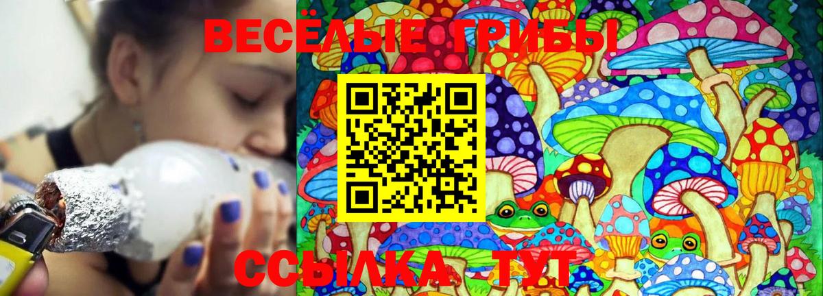 Галлюциногенные грибы GOLDEN TEACHER Новокузнецк