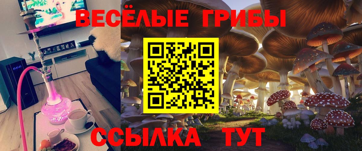 Галлюциногенные грибы Cubensis  Вход с VPN  Псилоцибиновые грибы прущие грибы  продажа наркотиков  Новокузнецк 
